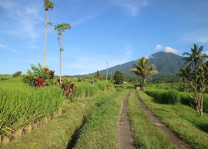 Sang Giri Mountain Tent By Puri Signatures 3* Jatiluwih
