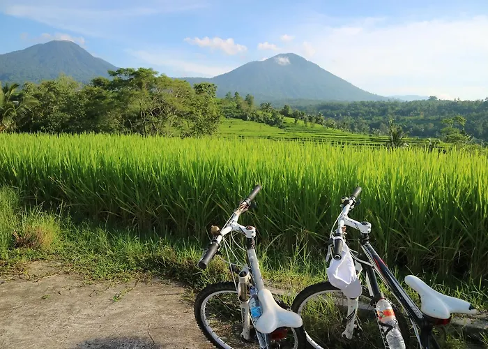 Sang Giri Mountain Tent By Puri Signatures Jatiluwih